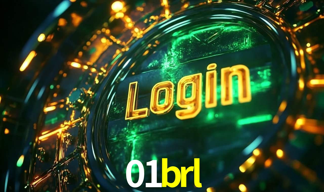 Segurança e privacidade no APP 01brl